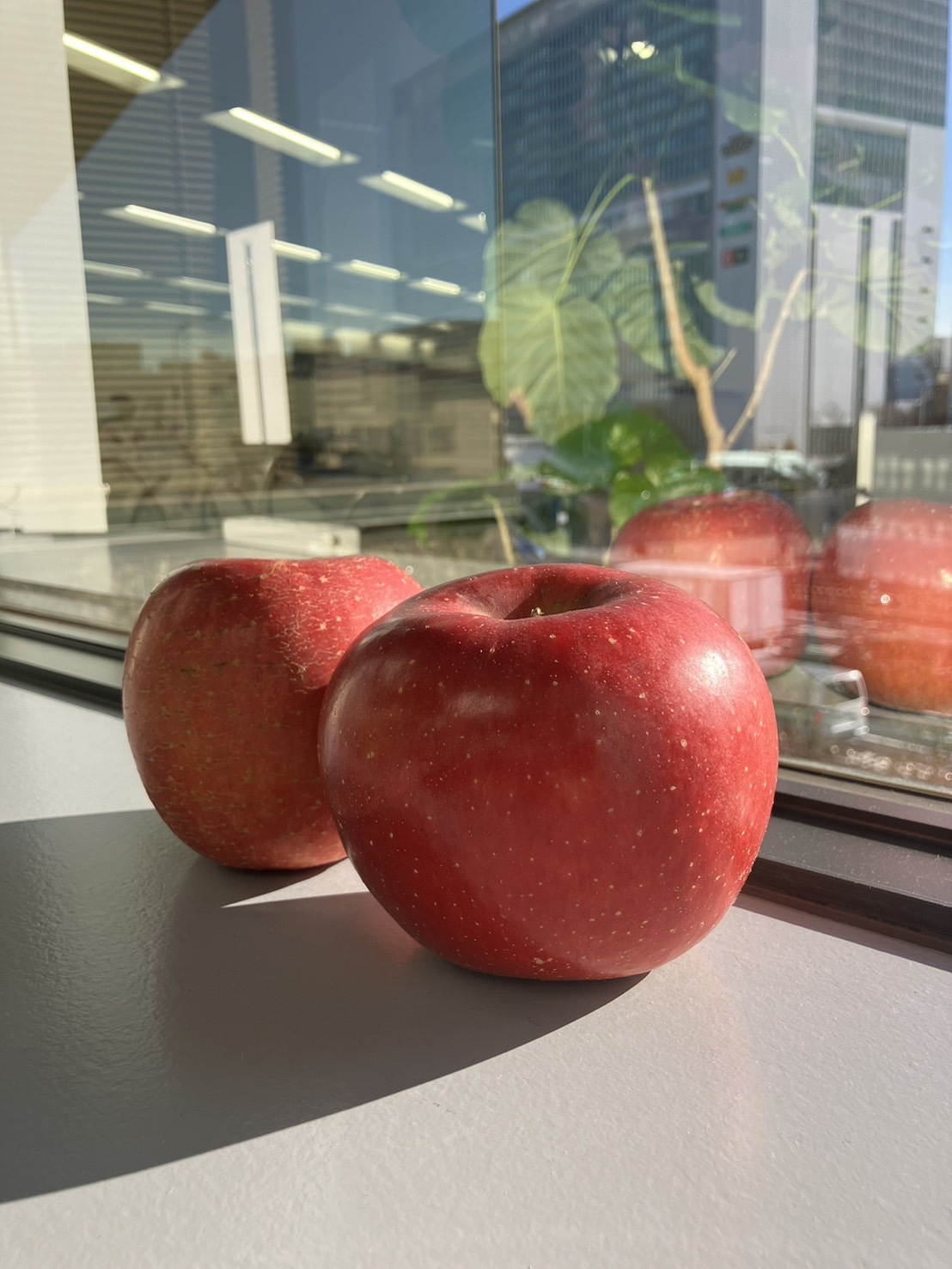 旬の味覚のおすそ分けをいただきました🍎