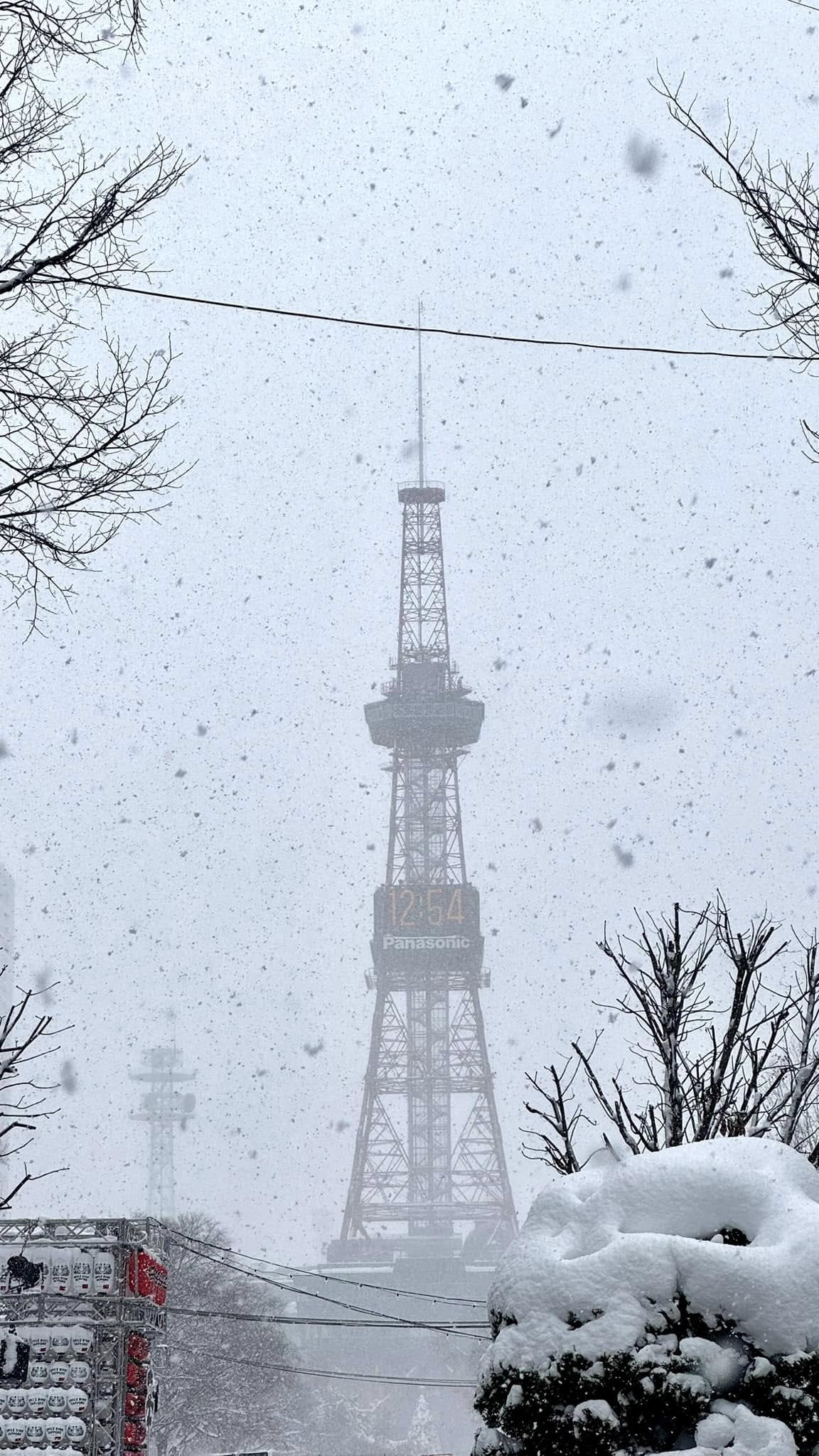 北海道の冬のリアルな姿❄️🌨️