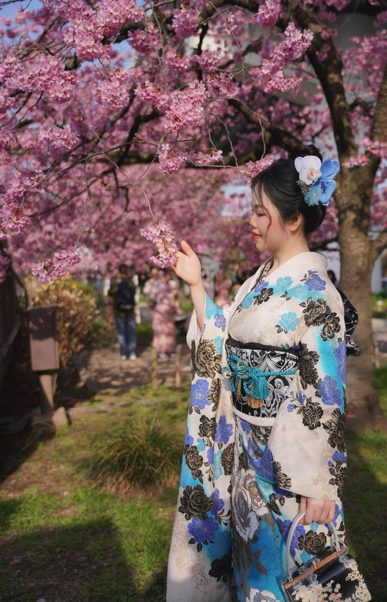 人生も桜の花のように美しく、後悔せずに生きよう